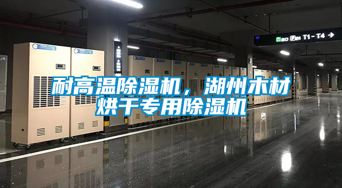 耐高溫除濕機(jī)，湖州木材烘干專用除濕機(jī)