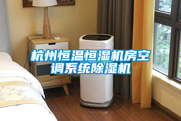 杭州恒溫恒濕機房空調(diào)系統(tǒng)除濕機