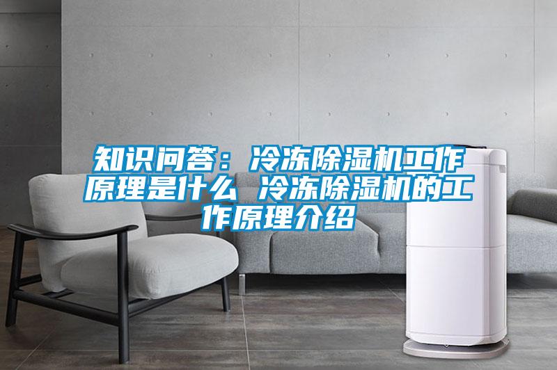 知識(shí)問答：冷凍除濕機(jī)工作原理是什么 冷凍除濕機(jī)的工作原理介紹