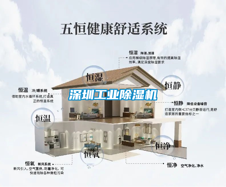 深圳工業(yè)除濕機(jī)