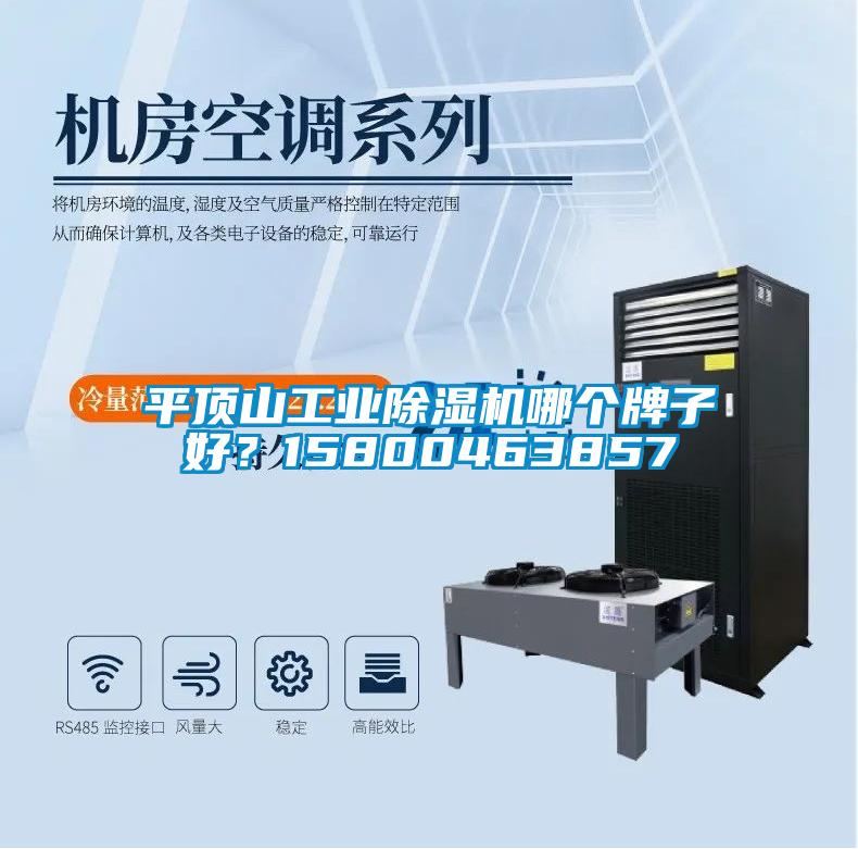 平頂山工業(yè)除濕機(jī)哪個(gè)牌子好？15800463857