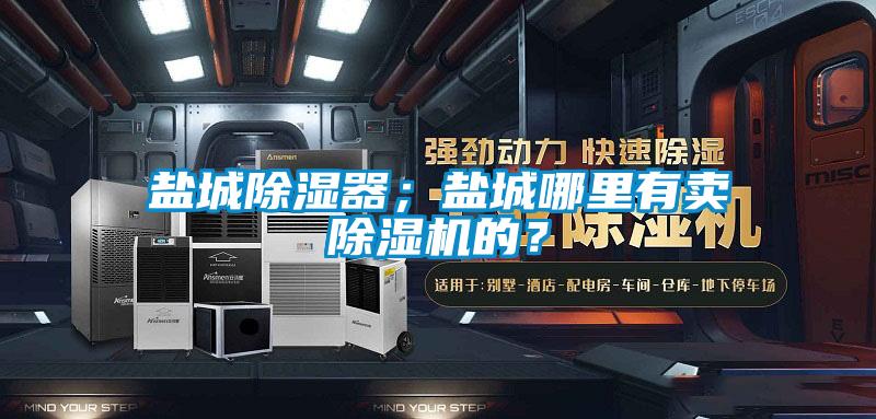 鹽城除濕器；鹽城哪里有賣除濕機的？