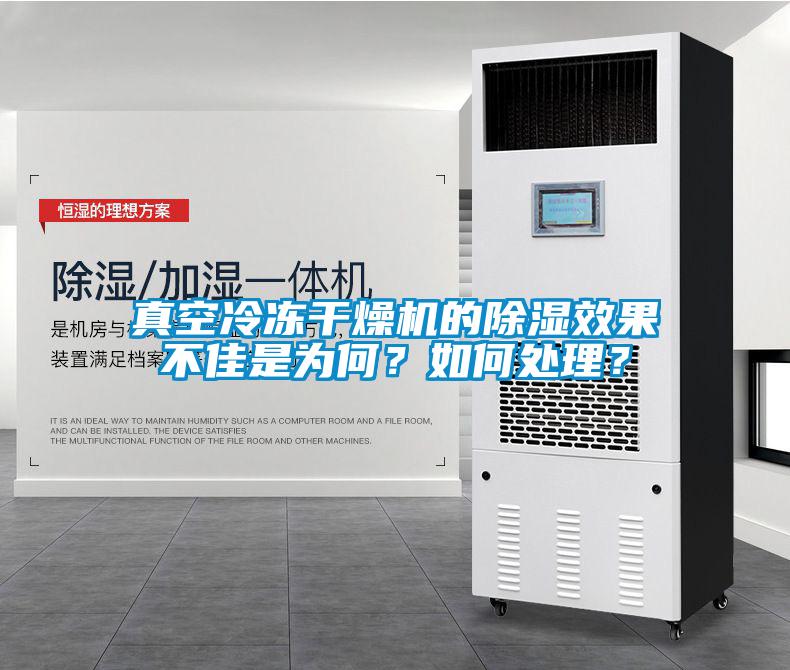 真空冷凍干燥機的除濕效果不佳是為何？如何處理？