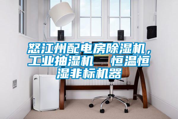 怒江州配電房除濕機，工業(yè)抽濕機  恒溫恒濕非標機器