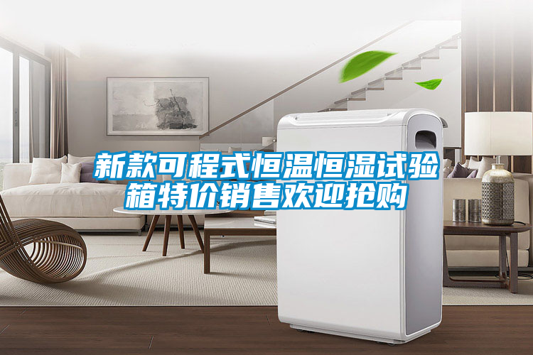新款可程式恒溫恒濕試驗(yàn)箱特價銷售歡迎搶購