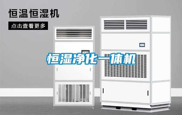 恒濕凈化一體機(jī)