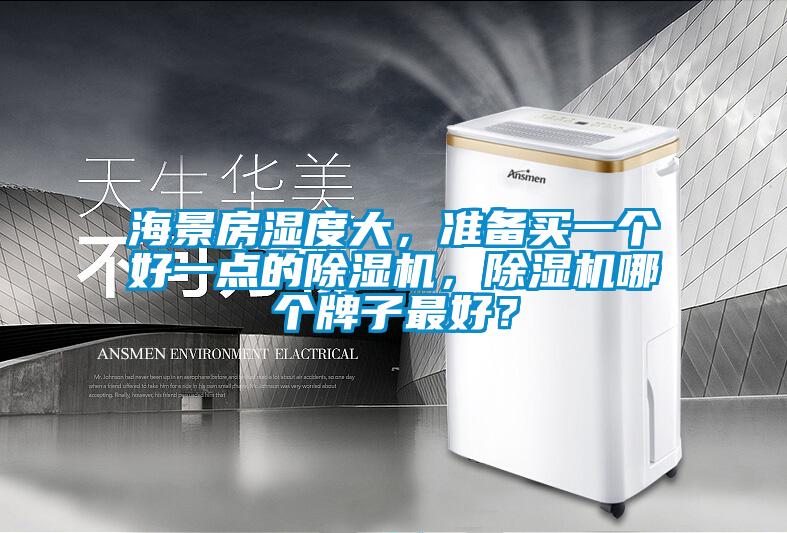 海景房濕度大，準(zhǔn)備買一個好一點的除濕機，除濕機哪個牌子最好？