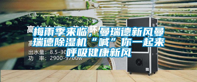 梅雨季來臨，曼瑞德新風(fēng)曼瑞德除濕機(jī)“喊”你一起來呼吸健康新風(fēng)
