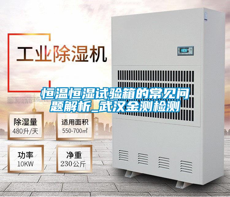 恒溫恒濕試驗(yàn)箱的常見問題解析_武漢金測(cè)檢測(cè)