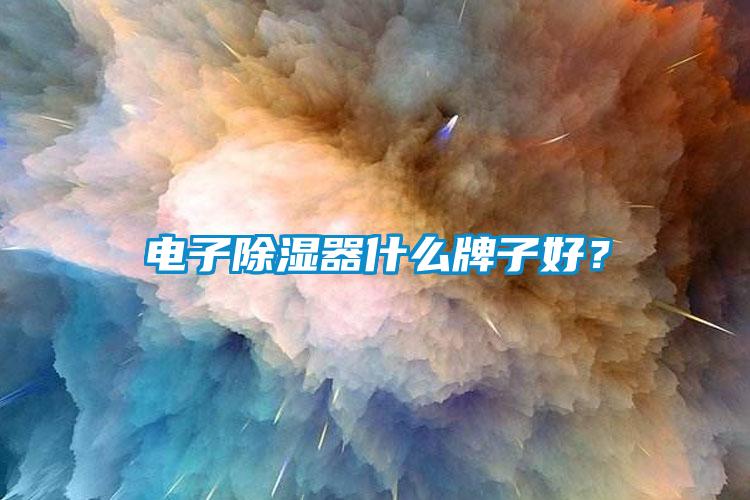 電子除濕器什么牌子好？