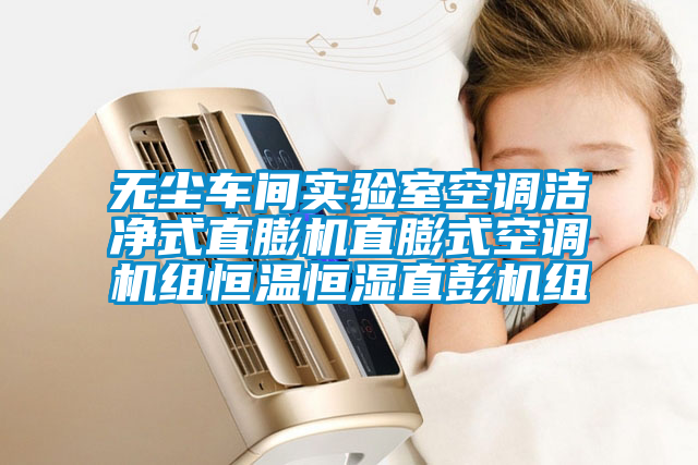無(wú)塵車(chē)間實(shí)驗(yàn)室空調(diào)潔凈式直膨機(jī)直膨式空調(diào)機(jī)組恒溫恒濕直彭機(jī)組