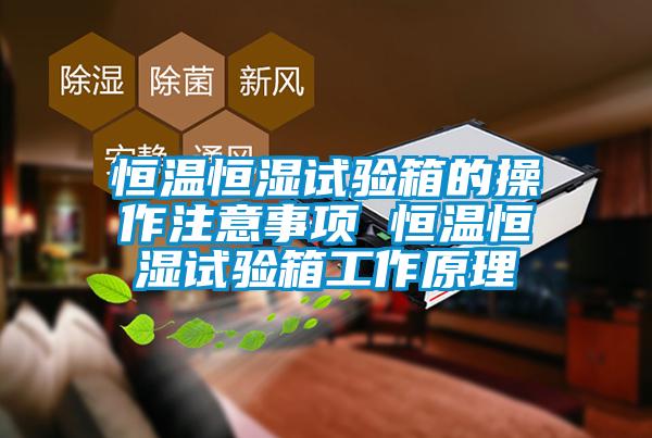 恒溫恒濕試驗(yàn)箱的操作注意事項(xiàng) 恒溫恒濕試驗(yàn)箱工作原理