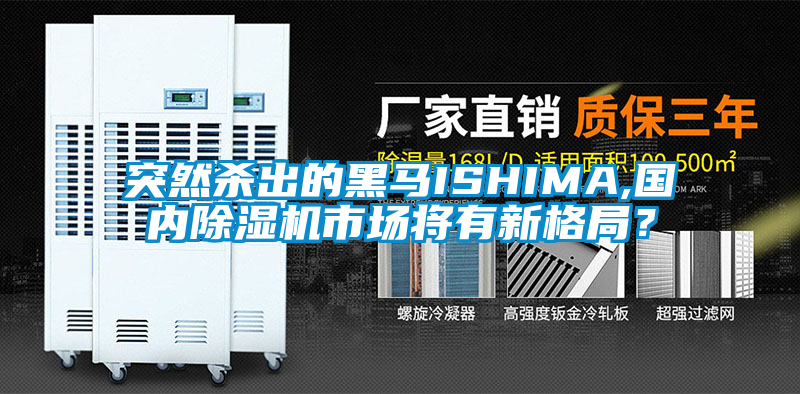 突然殺出的黑馬ISHIMA,國(guó)內(nèi)除濕機(jī)市場(chǎng)將有新格局？