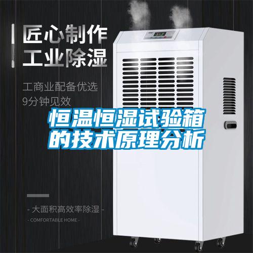 恒溫恒濕試驗(yàn)箱的技術(shù)原理分析
