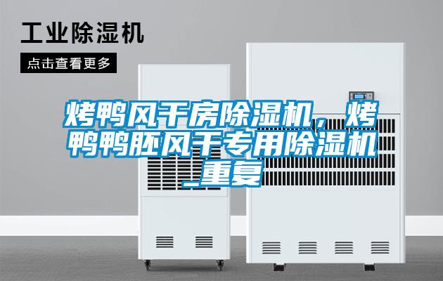 烤鴨風干房除濕機，烤鴨鴨胚風干專用除濕機_重復