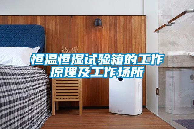 恒溫恒濕試驗(yàn)箱的工作原理及工作場所