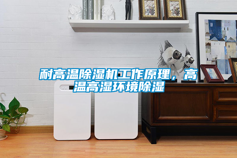 耐高溫除濕機(jī)工作原理，高溫高濕環(huán)境除濕