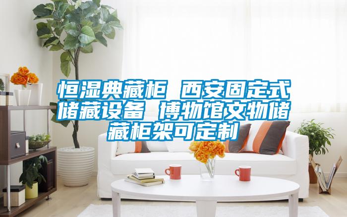恒濕典藏柜 西安固定式儲(chǔ)藏設(shè)備 博物館文物儲(chǔ)藏柜架可定制