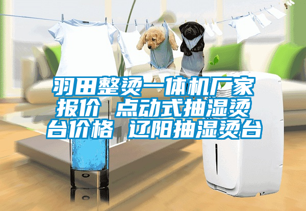 羽田整燙一體機(jī)廠家報(bào)價(jià) 點(diǎn)動(dòng)式抽濕燙臺(tái)價(jià)格 遼陽抽濕燙臺(tái)