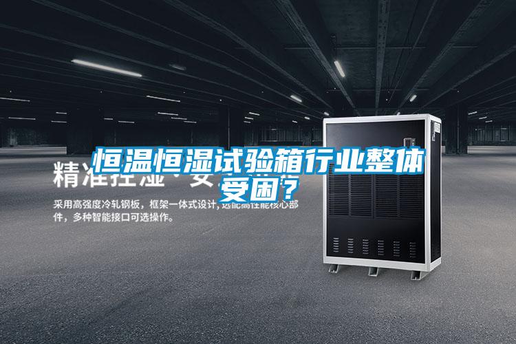 恒溫恒濕試驗(yàn)箱行業(yè)整體受困？