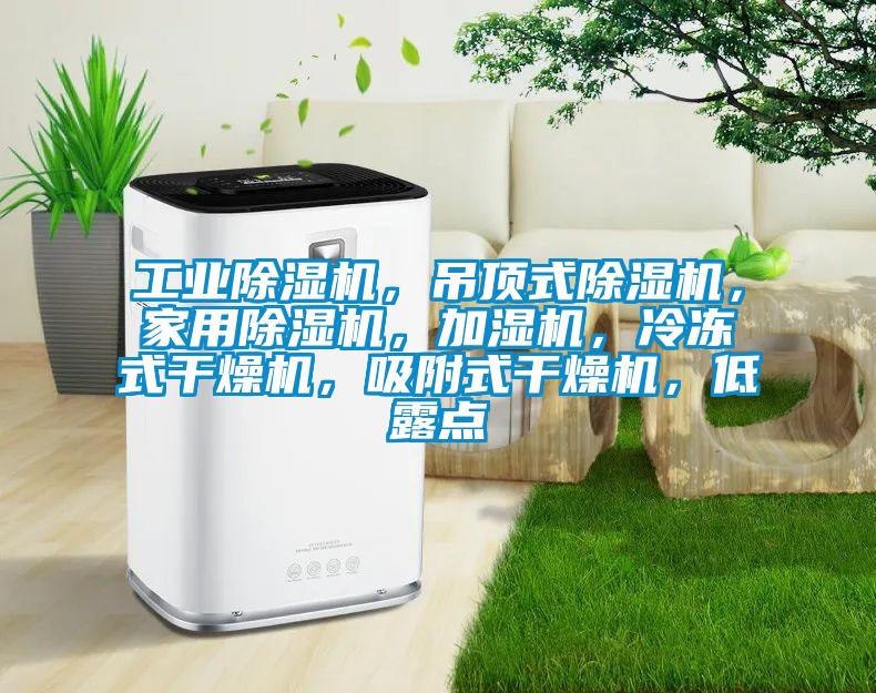 工業(yè)除濕機(jī)，吊頂式除濕機(jī)，家用除濕機(jī)，加濕機(jī)，冷凍式干燥機(jī)，吸附式干燥機(jī)，低露點(diǎn)