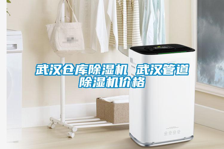 武漢倉(cāng)庫(kù)除濕機(jī) 武漢管道除濕機(jī)價(jià)格