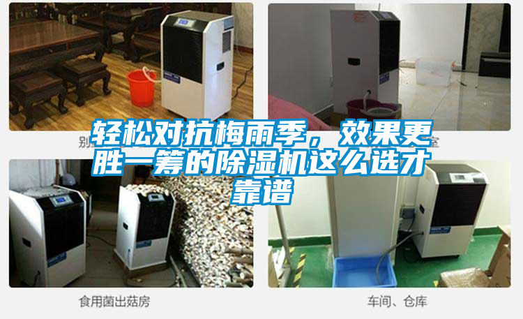 輕松對(duì)抗梅雨季，效果更勝一籌的除濕機(jī)這么選才靠譜
