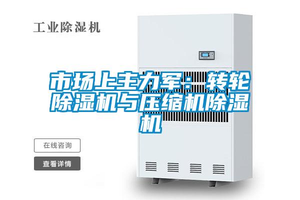 市場上主力軍：轉(zhuǎn)輪除濕機與壓縮機除濕機