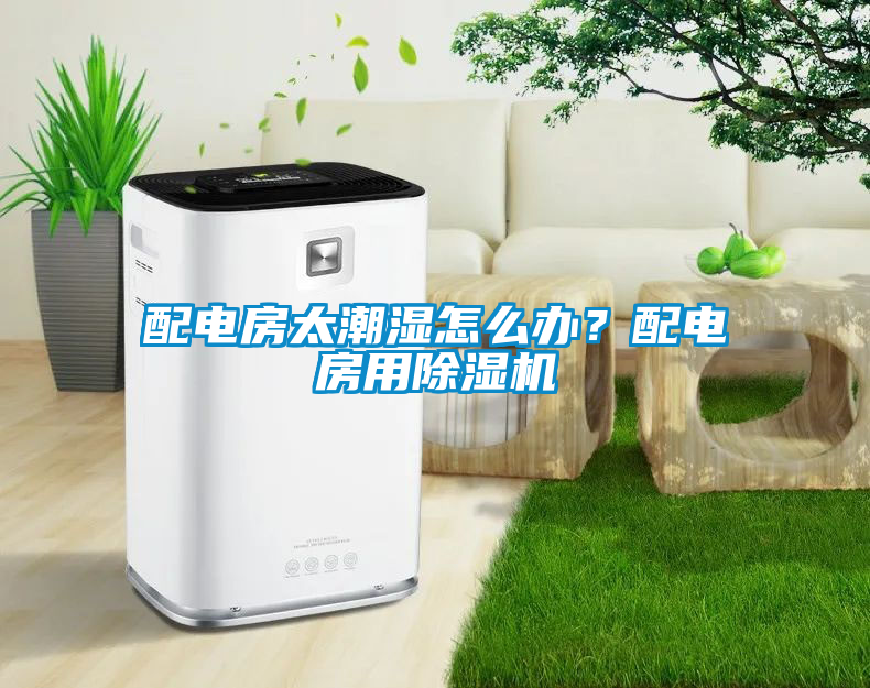 配電房太潮濕怎么辦？配電房用除濕機(jī)