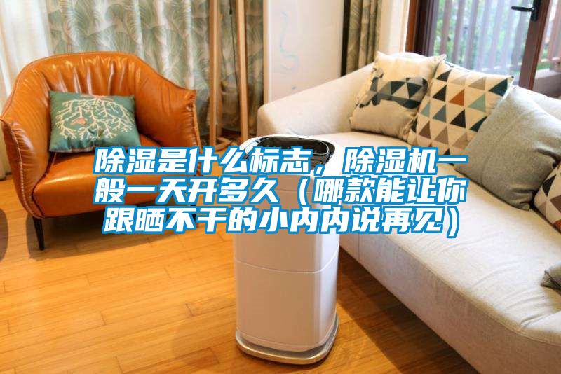 除濕是什么標志，除濕機一般一天開多久（哪款能讓你跟曬不干的小內(nèi)內(nèi)說再見）