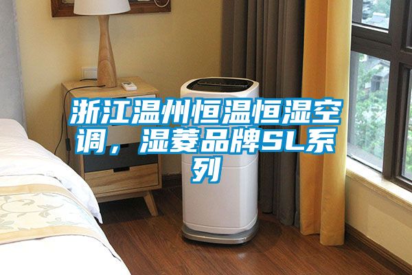 浙江溫州恒溫恒濕空調(diào)，濕菱品牌SL系列