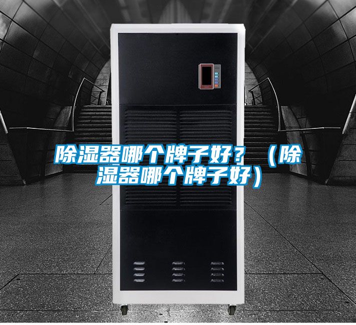 除濕器哪個牌子好？（除濕器哪個牌子好）