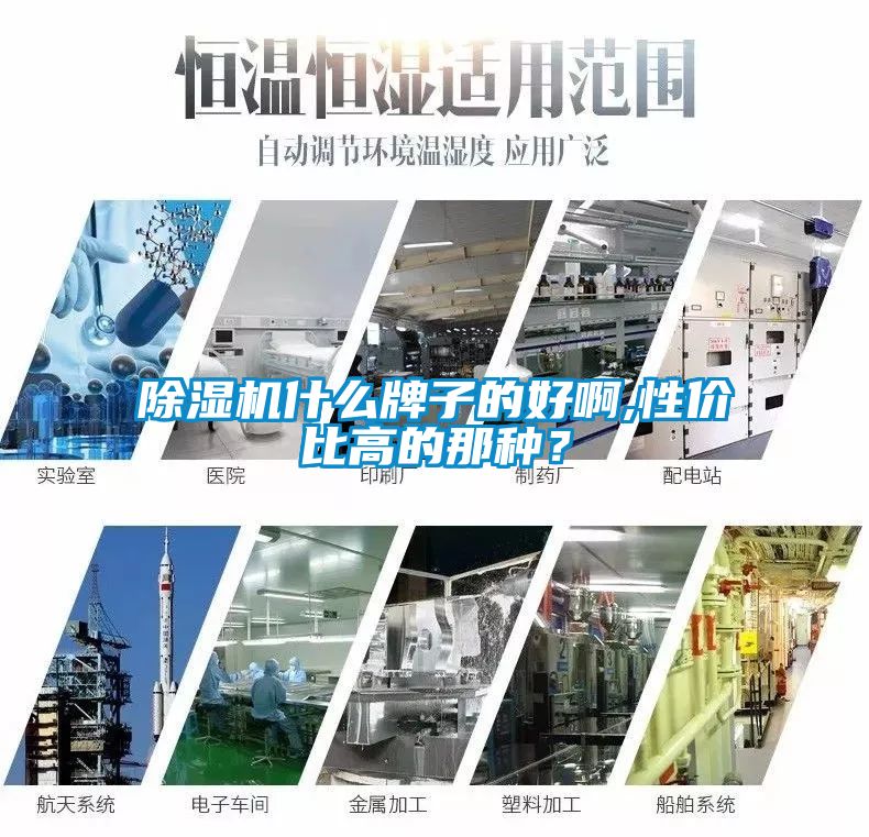 除濕機(jī)什么牌子的好啊,性價比高的那種？