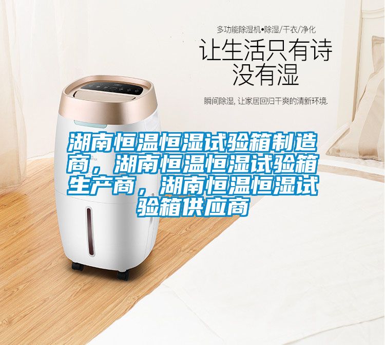 湖南恒溫恒濕試驗箱制造商，湖南恒溫恒濕試驗箱生產(chǎn)商，湖南恒溫恒濕試驗箱供應(yīng)商