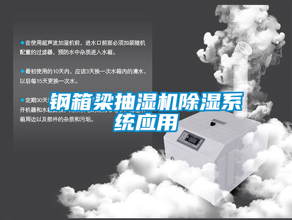 鋼箱梁抽濕機除濕系統(tǒng)應用
