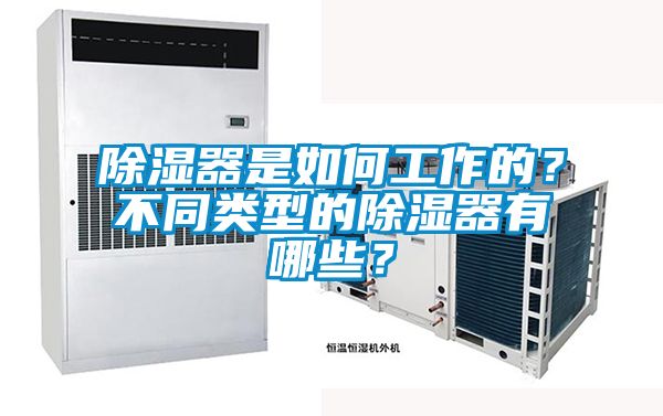 除濕器是如何工作的？不同類型的除濕器有哪些？