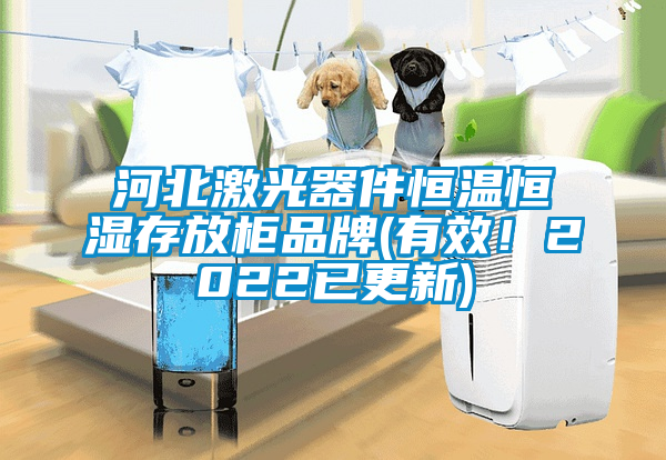 河北激光器件恒溫恒濕存放柜品牌(有效！2022已更新)