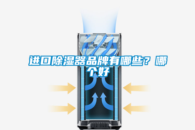 進口除濕器品牌有哪些？哪個好