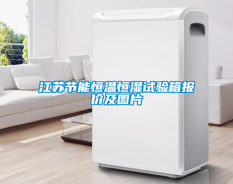 江蘇節(jié)能恒溫恒濕試驗(yàn)箱報(bào)價(jià)及圖片