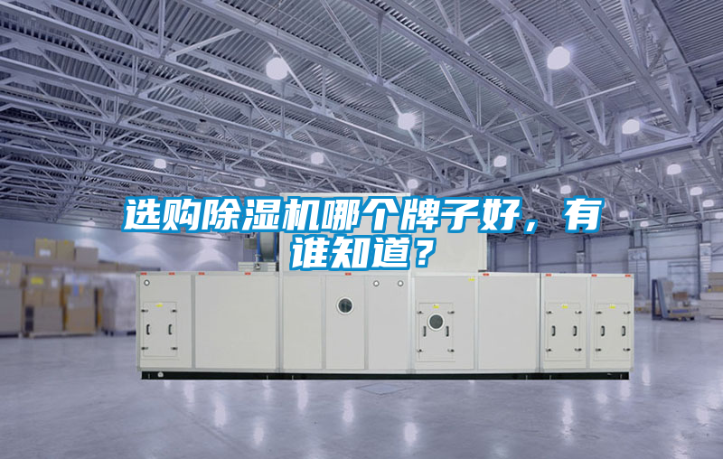 選購除濕機(jī)哪個牌子好，有誰知道？