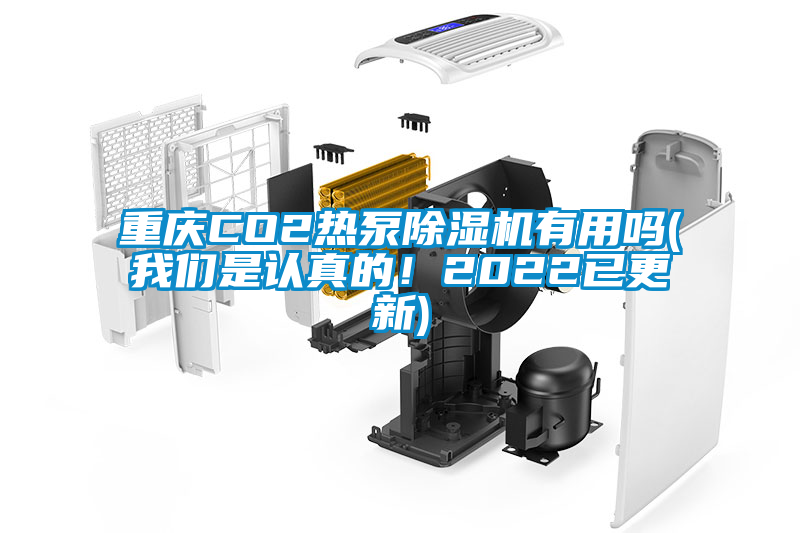 重慶CO2熱泵除濕機有用嗎(我們是認真的！2022已更新)