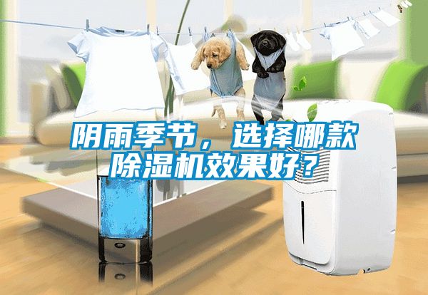 陰雨季節(jié)，選擇哪款除濕機(jī)效果好？