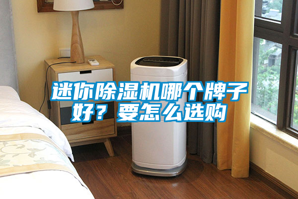 迷你除濕機(jī)哪個牌子好？要怎么選購