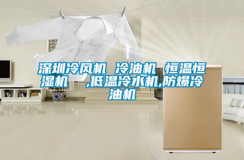 深圳冷風(fēng)機(jī) 冷油機(jī) 恒溫恒濕機(jī)  ,低溫冷水機(jī),防爆冷油機(jī)