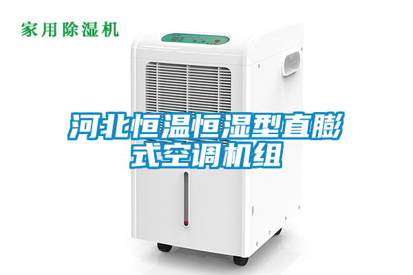 河北恒溫恒濕型直膨式空調(diào)機組