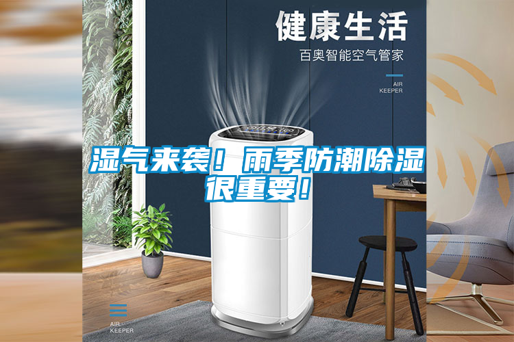 濕氣來(lái)襲！雨季防潮除濕很重要！