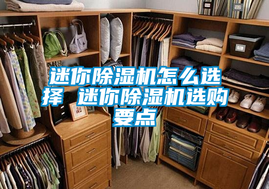 迷你除濕機(jī)怎么選擇 迷你除濕機(jī)選購要點