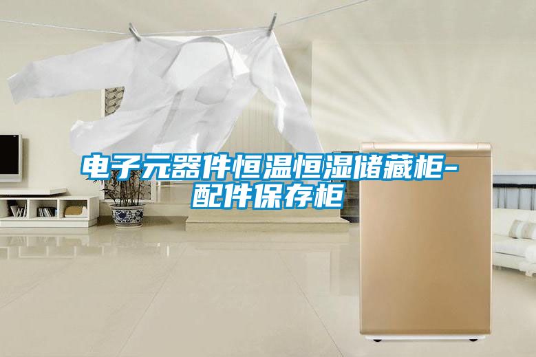 電子元器件恒溫恒濕儲藏柜-配件保存柜