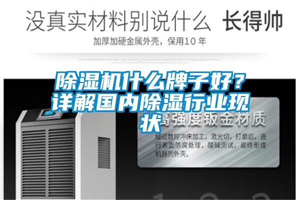 除濕機(jī)什么牌子好？詳解國內(nèi)除濕行業(yè)現(xiàn)狀