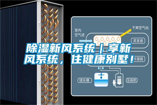 除濕新風系統(tǒng)｜享新風系統(tǒng)，住健康別墅！